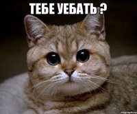 ТЕБЕ УЕБАТЬ ? 