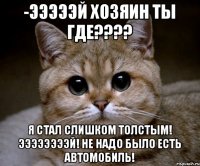 -эээээй хозяин ты где???? Я стал слишком толстым! Ээээээээй! Не надо было есть автомобиль!