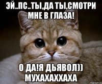 Эй..пс..ты,да ты,смотри мне в глаза! О да!Я дьявол)) МУХАХАХХАХА