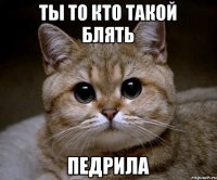 Ты то кто такой блять Педрила