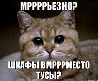 Мррррьезно? Шкафы вмрррместо тусы?