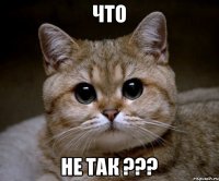 что не так ???