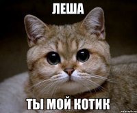 Леша ты мой котик