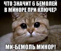 ЧТО ЗНАЧИТ 6 БЕМОЛЕЙ В МИНОРЕ ПРИ КЛЮЧЕ? МИ-БЕМОЛЬ МИНОР!