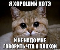 Я хороший Котэ И не надо мне говорить что я плохой