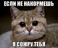 Если не накормешь Я сожру тебя