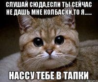 Слушай сюда,если ты сейчас не дашь мне колбаски,то я...... нассу тебе в тапки