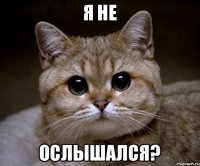 я не ослышался?