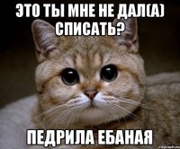 это ты мне не дал(а) списать? Педрила Ебаная