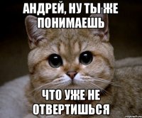 Андрей, ну ты же понимаешь Что уже не отвертишься