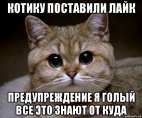 котику поставили лайк предупреждение я голый все это знают от куда