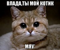 Влада,ты мой котик Мяу*