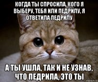 когда ты спросила, кого я выберу, тебя или педрилу, я ответила педрилу а ты ушла, так и не узнав, что педрила, это ты