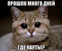 прошло много дней где карты?