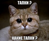 тапки ? какие тапки ?