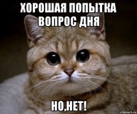 хорошая попытка вопрос дня но,нет!