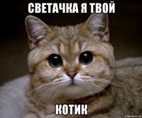 светачка я твой котик