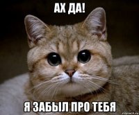 ах да! я забыл про тебя