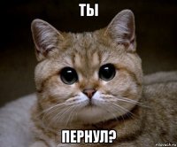 ты пернул?