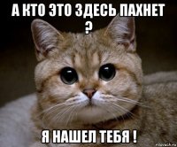 а кто это здесь пахнет ? я нашел тебя !