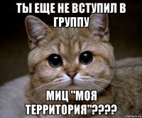 ты еще не вступил в группу миц "моя территория"????