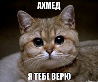 ахмед я тебе верю