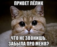 привет лёлик что не звонишь, забыла про меня?