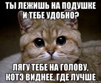 ты лежишь на подушке и тебе удобно? лягу тебе на голову, котэ виднее, где лучше