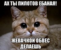 ах ты пилотов ебаная! жевачкой обвес делаешь