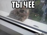 ты чёё 