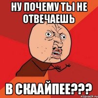 ну почему ты не отвечаешь в скаайпее???