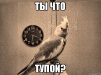 ТЫ ЧТО ТУПОЙ?