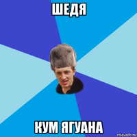 шедя кум ягуана