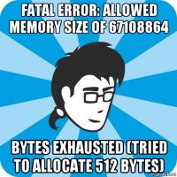 fatal error: allowed memory size of 67108864 bytes exhausted (tried to allocate 512 bytes)