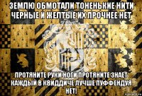 землю обмотали тоненькие нити черные и желтые их прочнее нет протяните руки ноги протяните знает каждый в квиддиче лучше пуффендуя нет!
