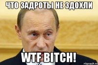 ЧТО ЗАДРОТЫ НЕ ЗДОХЛИ WTF BITCH!