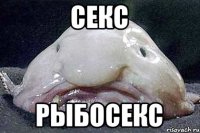 Секс Рыбосекс