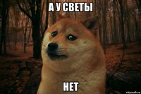 а у светы нет