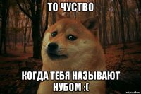 то чуство когда тебя называют нубом :(