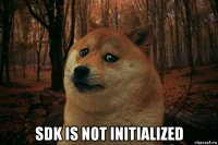  sdk is not initialized