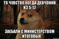 то чувство когда девчонки из 5-12 заебали с министерством .... итоговых