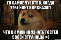 то самое чувство, когда тебе никто не сказал что вк можно узнать гостей своей страницы =(