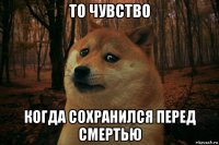 то чувство когда сохранился перед смертью