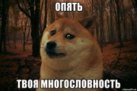 опять твоя многословность