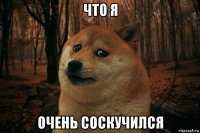 что я очень соскучился