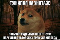 тужился на унитазе получил судебную повестку за нарушение авторских прав скриллекса