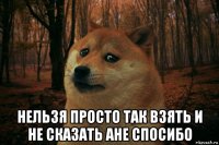  нельзя просто так взять и не сказать ане спосибо