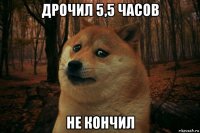 дрочил 5,5 часов не кончил