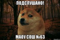 подслушано! маоу сош №63