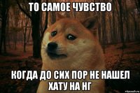 то самое чувство когда до сих пор не нашел хату на нг